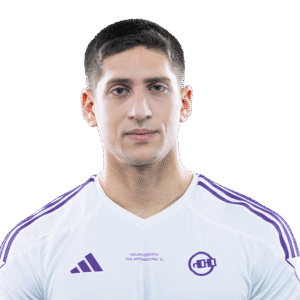 Fly Player Sticker - TI 2024