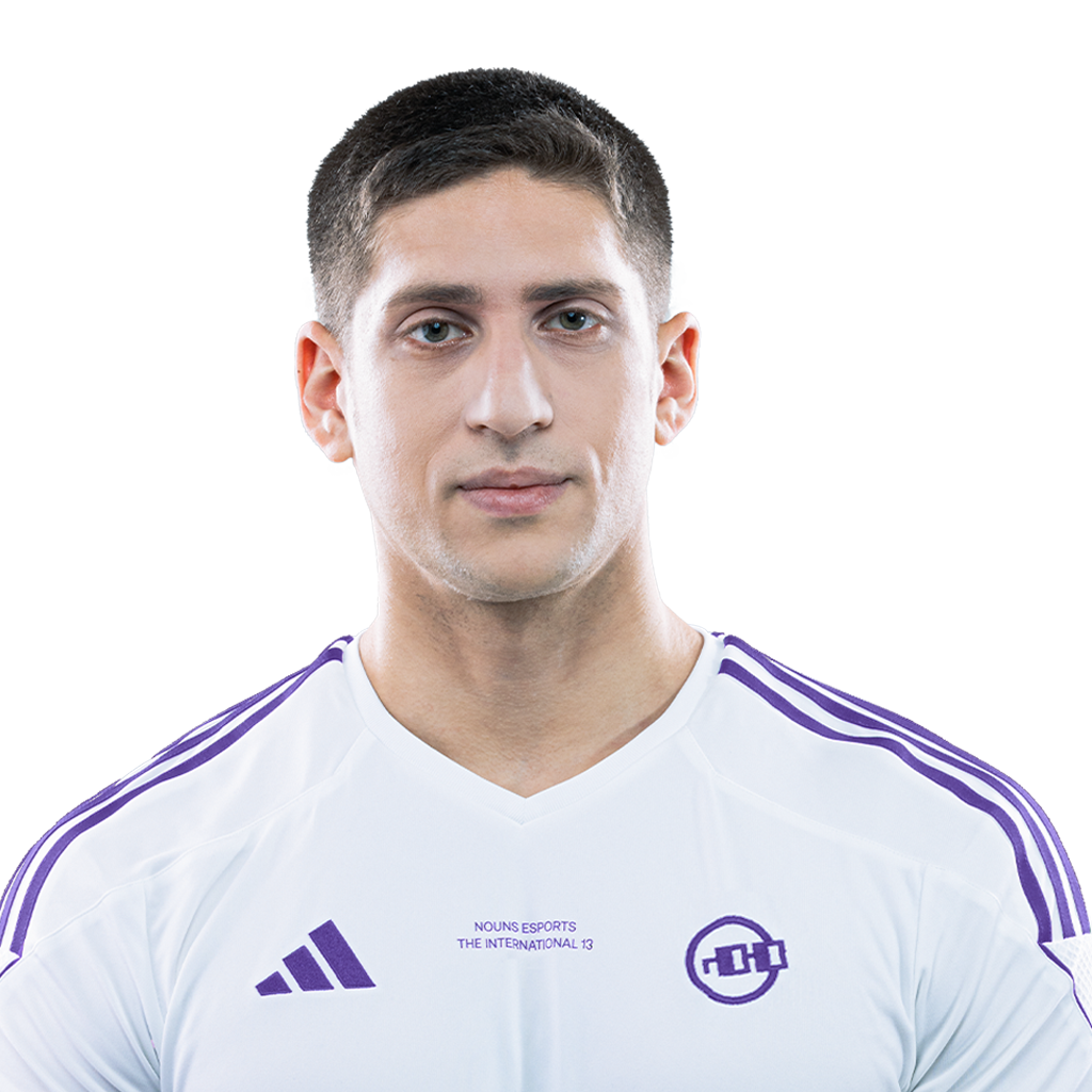 Fly Player Sticker - TI 2024