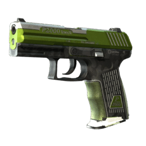 P2000 | Turf (Field-Tested)