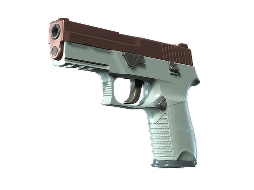 P250 | Copper Oxide (Minimal Wear)