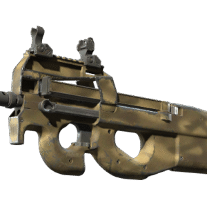 P90 | Sand Spray (Well-Worn)