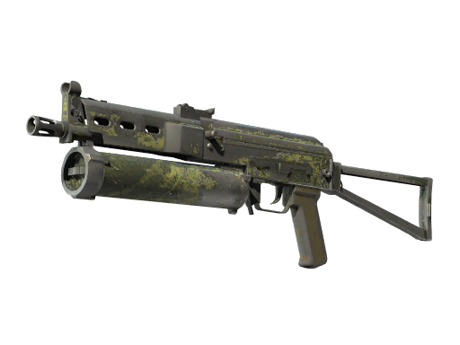 Souvenir PP-Bizon | Anolis (Battle-Scarred)