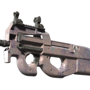 P90 | Wash me (Factory New)