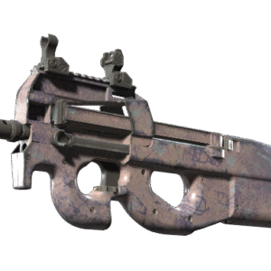 P90 | Wash me (Field-Tested)