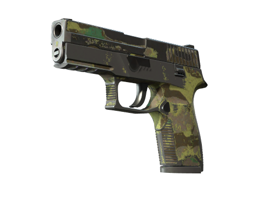 P250 | Boreal Forest (Battle-Scarred)