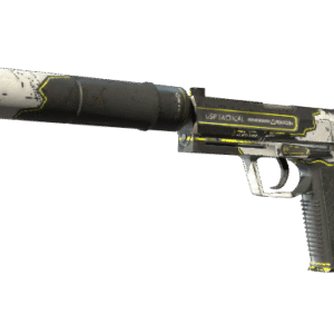 USP-S | Torque (Field-Tested)
