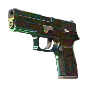 P250 | Visions (Field-Tested)