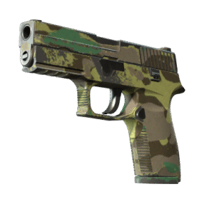 P250 | Boreal Forest (Well-Worn)